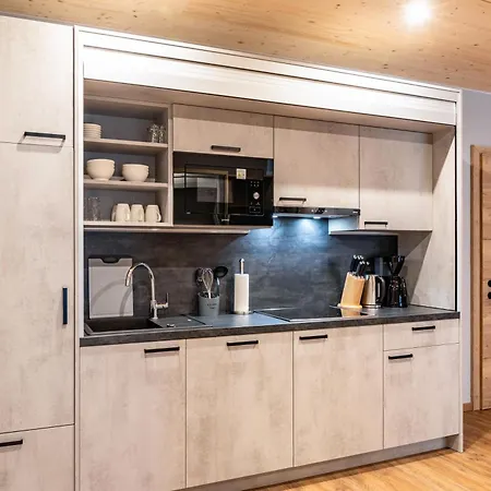 Zum Schwanen - 1 公寓 *